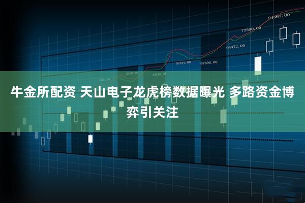 牛金所配资 天山电子龙虎榜数据曝光 多路资金博弈引关注